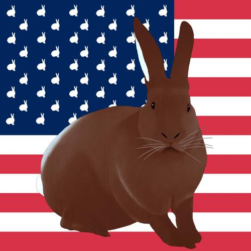CHOCOLAT FLAG rabbit flag Showroom - Inkjet on plexi, limited editions, numbered and signed. Wildlife painting Art and decoration. Click to select an image, organise your own set, order from the painter on line